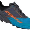Dynafit Alpine -Extérieur Chaussures Magasin dynafit alpine magnet frost 0 11