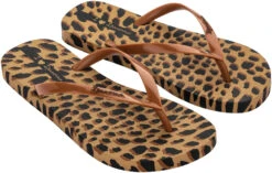 Ipanema Animale Print -Extérieur Chaussures Magasin ipanema animale print beige aj138 37 eur 4 1 4 uk beige aj138 0