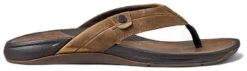 Reef Pacific Leather LE -Extérieur Chaussures Magasin reef pacific leather le java 9 us 42 eur java 2 1